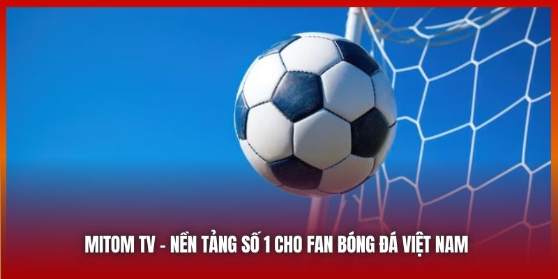 Tham Gia Cộng Đồng Sôi Động Tại Mitom TV